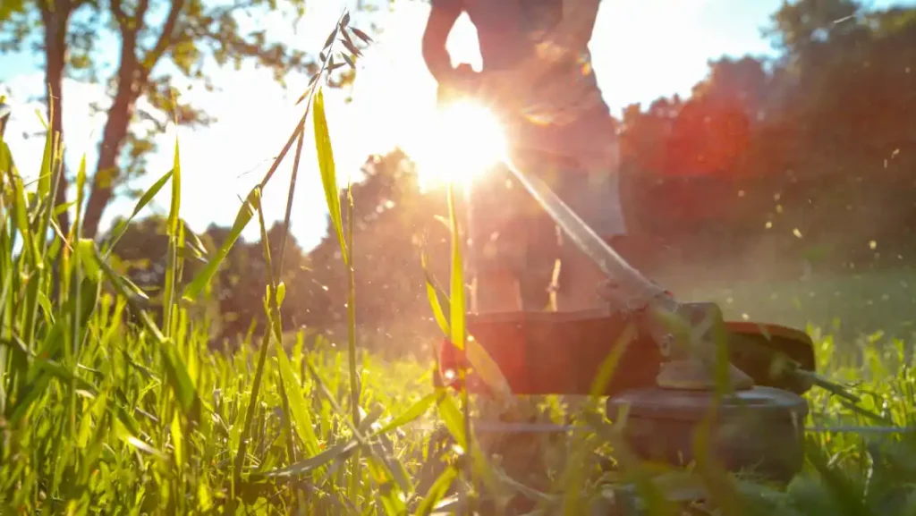 Tuin Service huis Zweden Een persoon die gras maait met een grasmaaier.