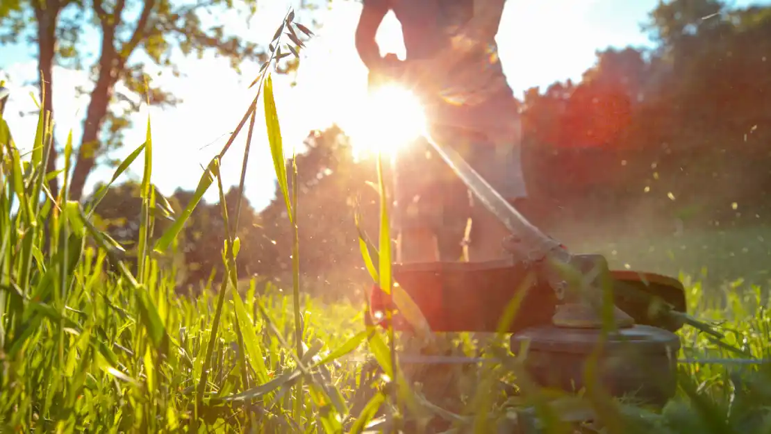 Tuin Service huis Zweden